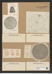 Coscinodiscus leptopus Grun. (de-Toni-Nr.: Genus 202, Species 4908) Zeichnungen Sammlung Grunow Nr. 8670 (NHMW-BOT-W0378080)